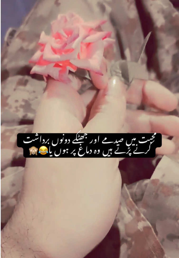 @ʚ𝘊𝘢𝘱𝘵𝘢𝘪𝘯 𝘈𝘧𝘧𝘢𝘯ɞ⚔︎☠