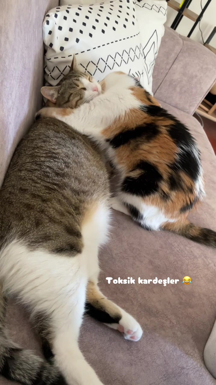 @SEVDAMARSVENÜS
