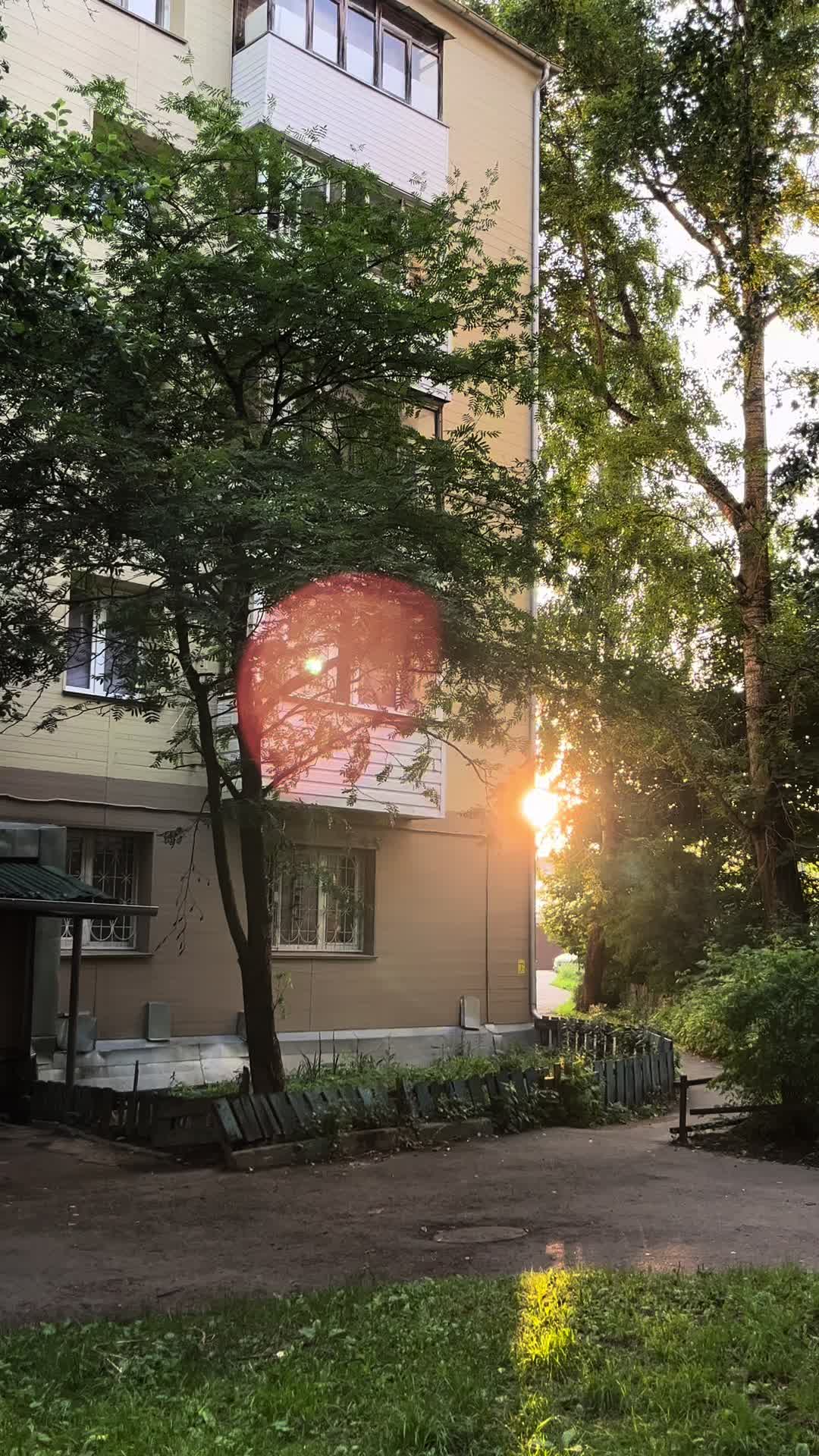 @горная коза