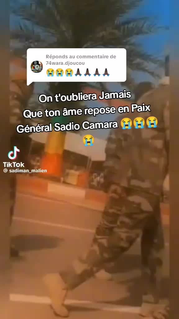@ROI GUÉPARD N°1 223 🇲🇱