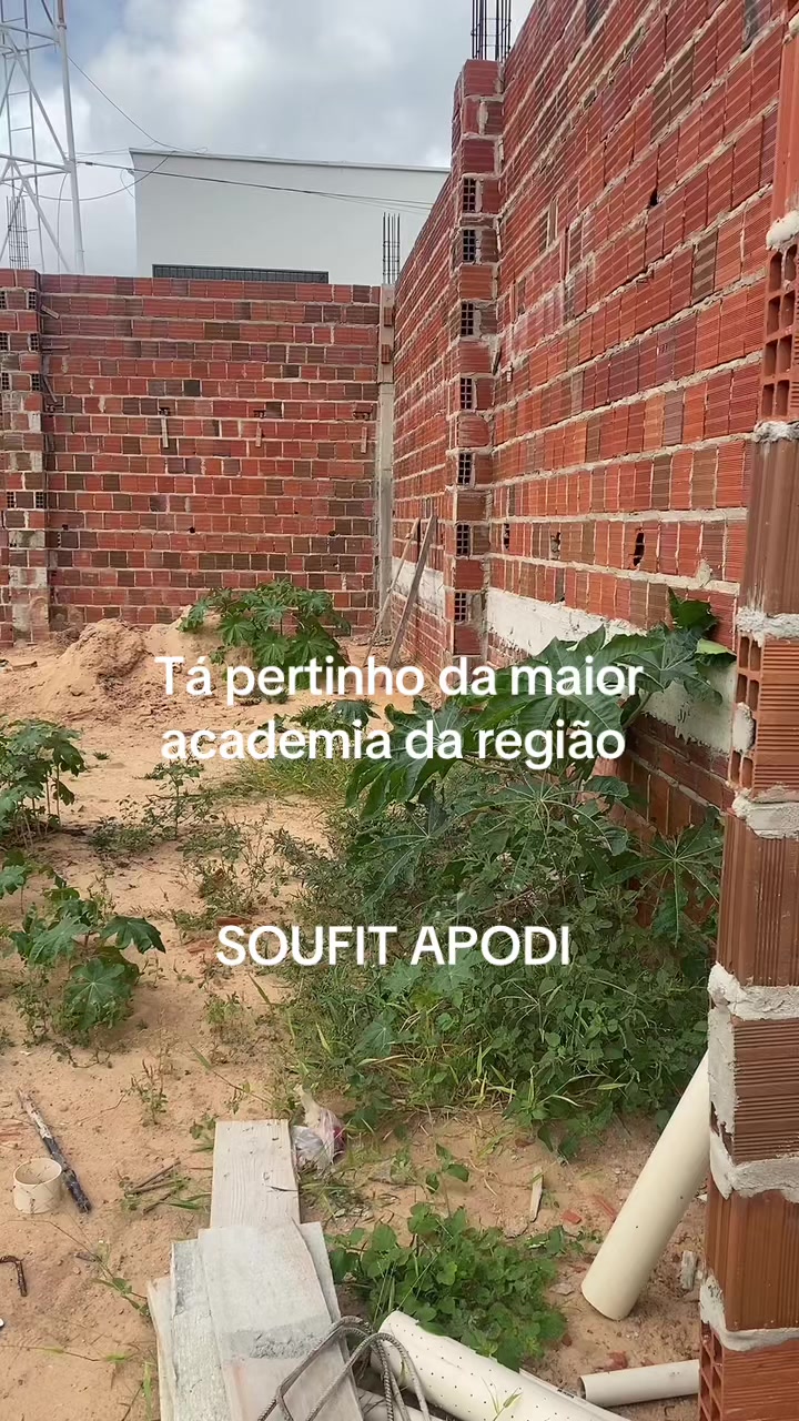 @Ladislau