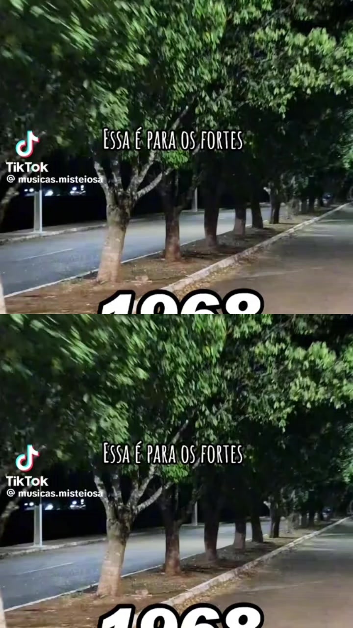 @Soraia Rodrigues