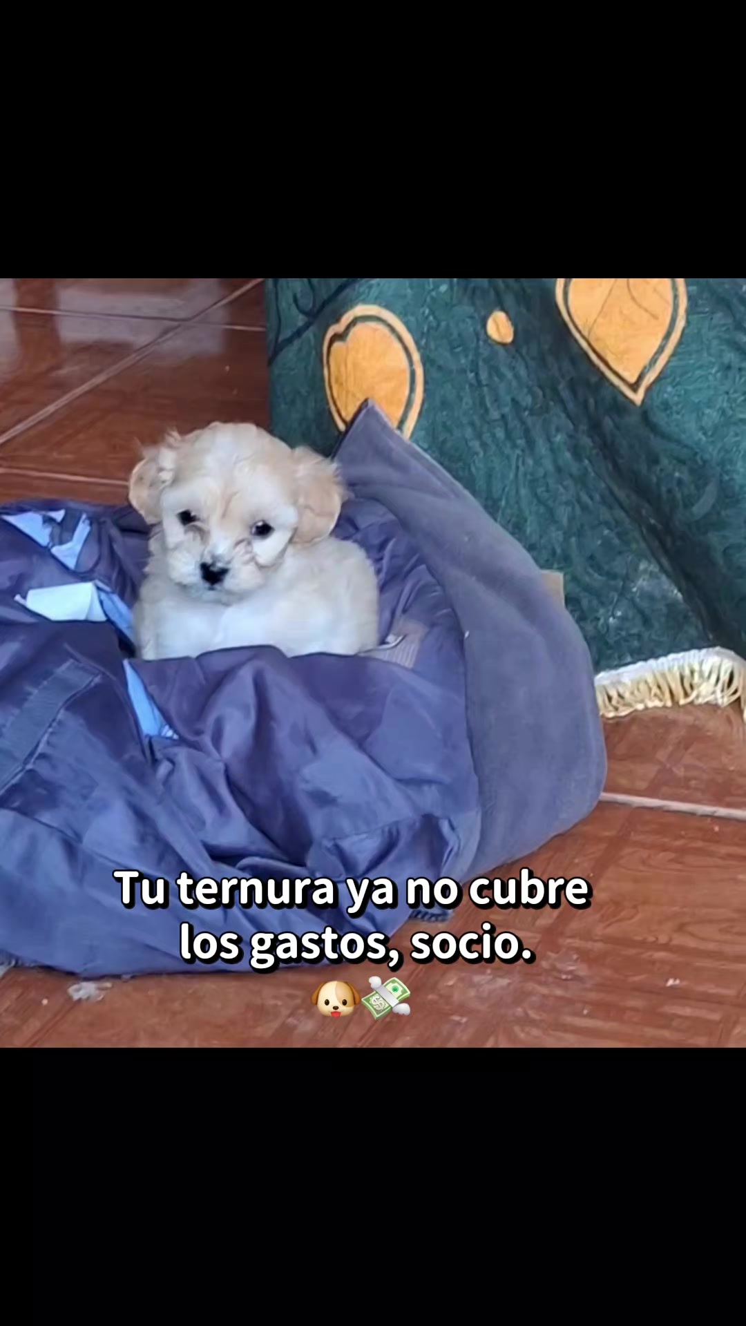 @Mary