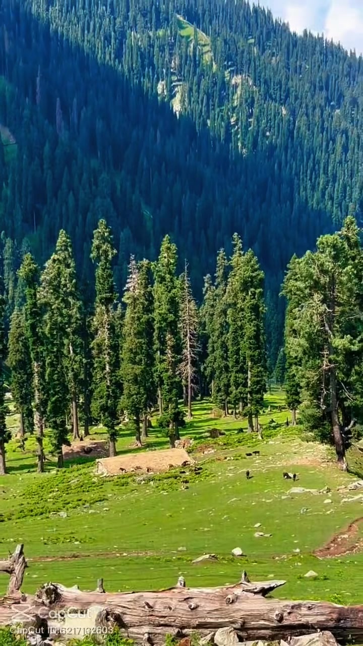 @khansher230