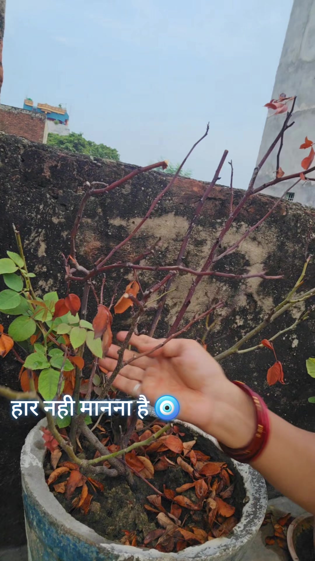 @kumkumjha