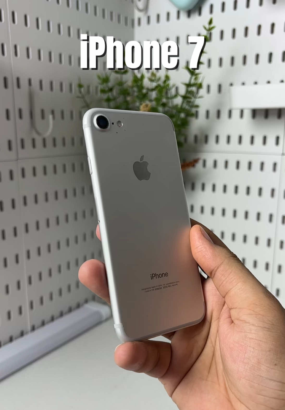 @iPhonary 🩷