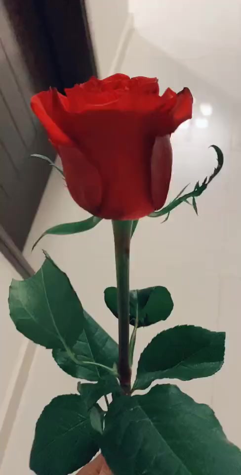 @𝑺𝒂𝒓𝒂𝒉 𝒌𝒉𝒂𝒏