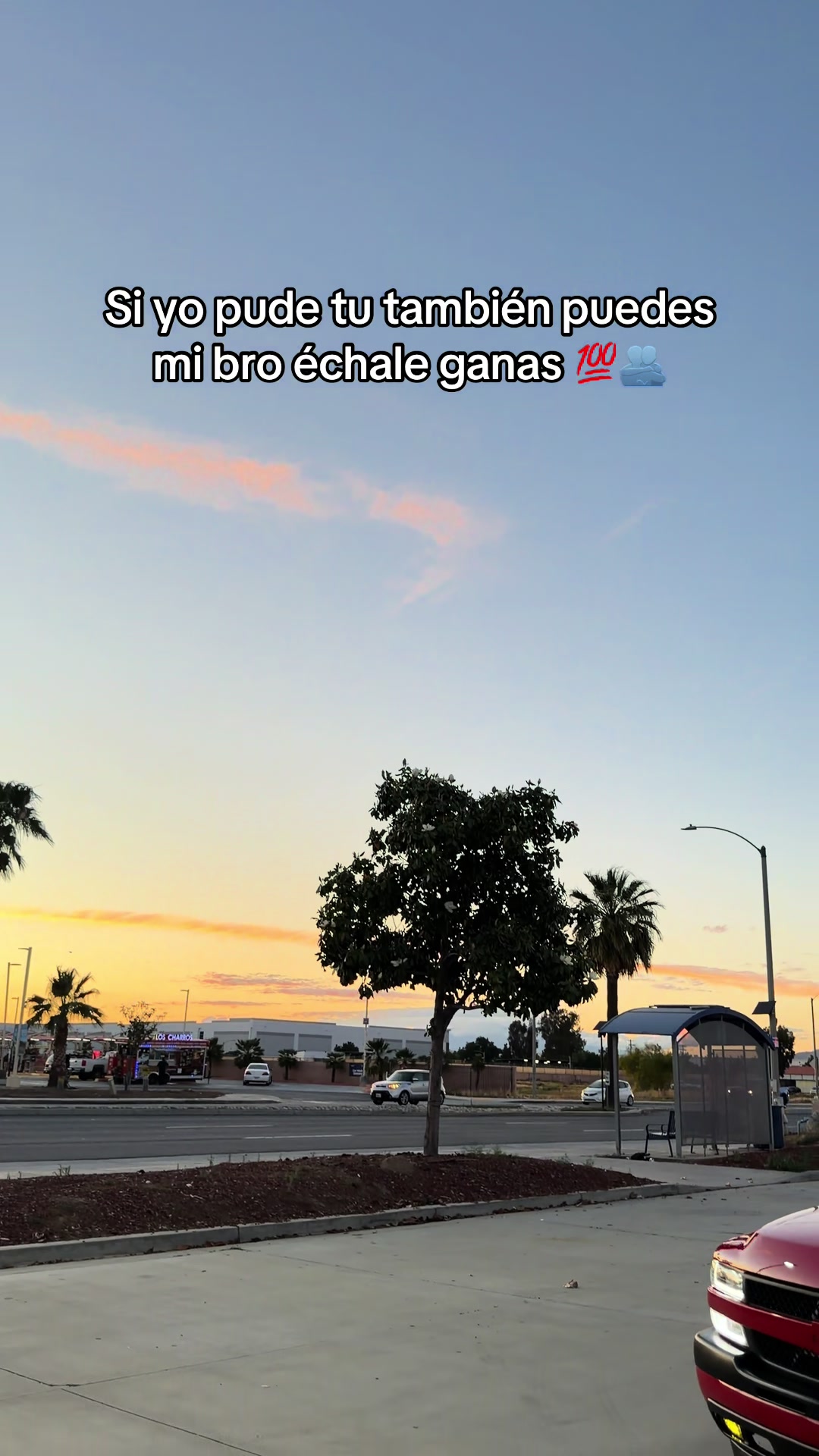 @geras_ha