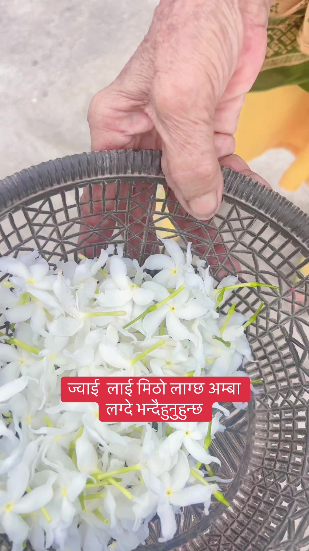 @Akriti Dhakal
