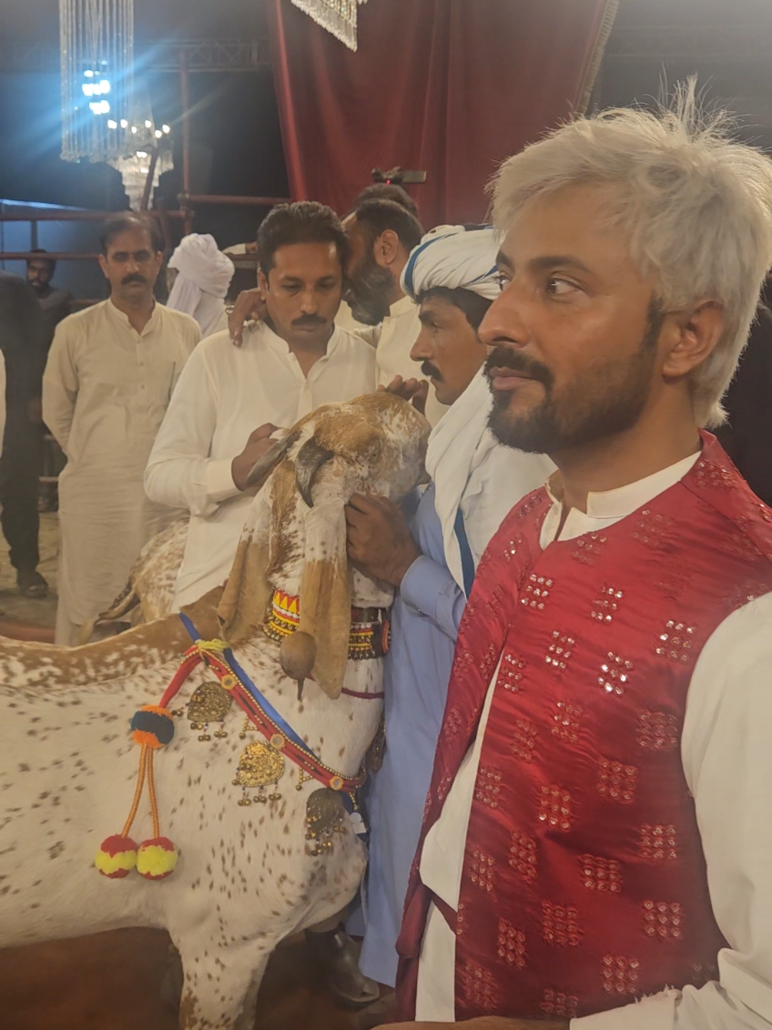 @《SIDHU}{GOAT}{FARM》