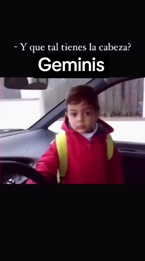 @Y O S O Y G E M I N I S ♊