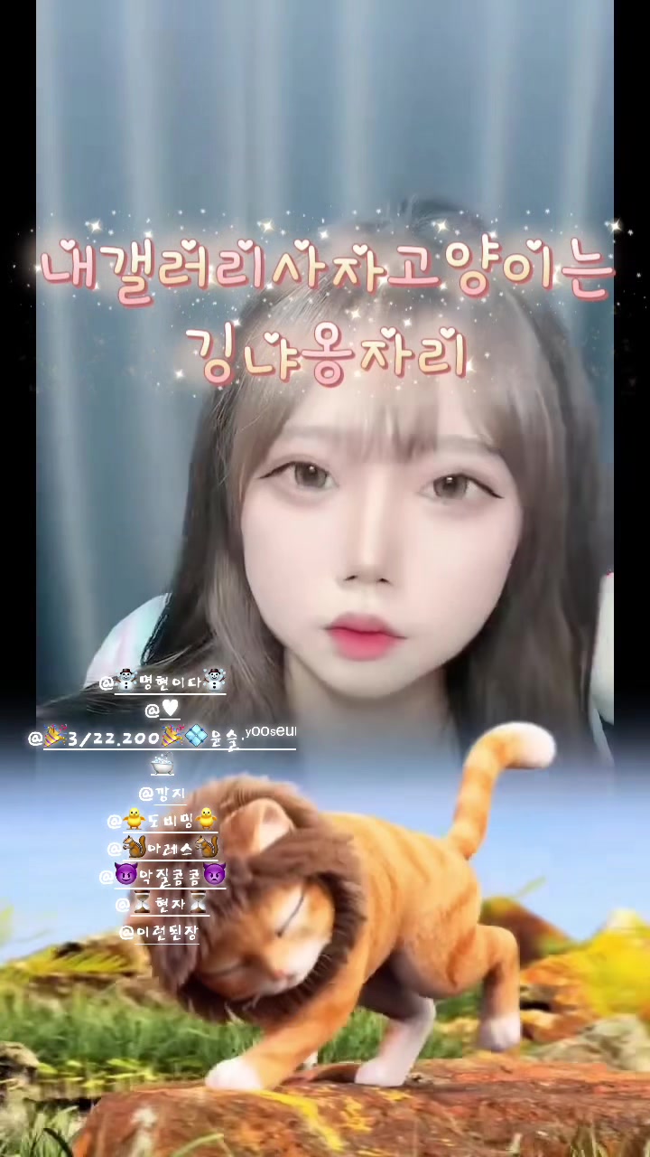 @✨꒰ა혀니໒꒱✨