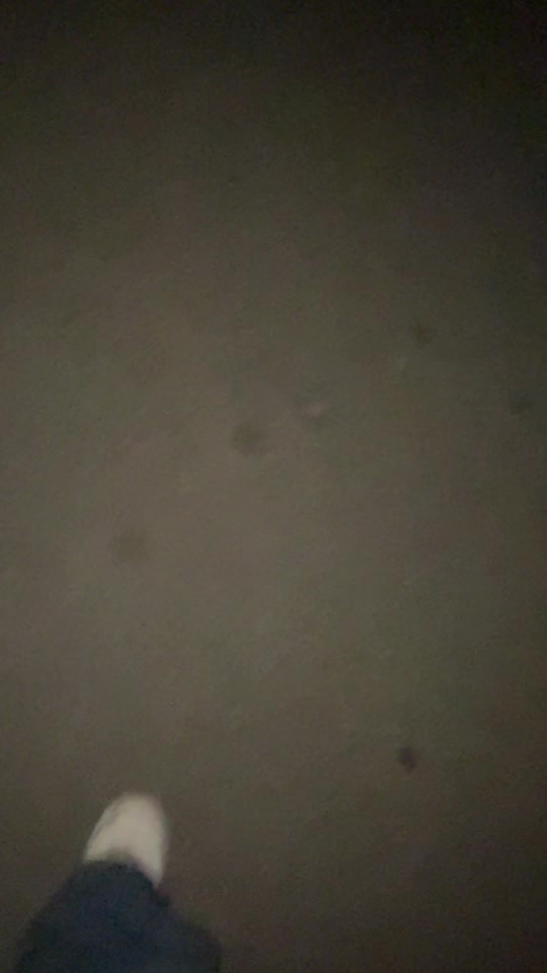 @mollyflixx