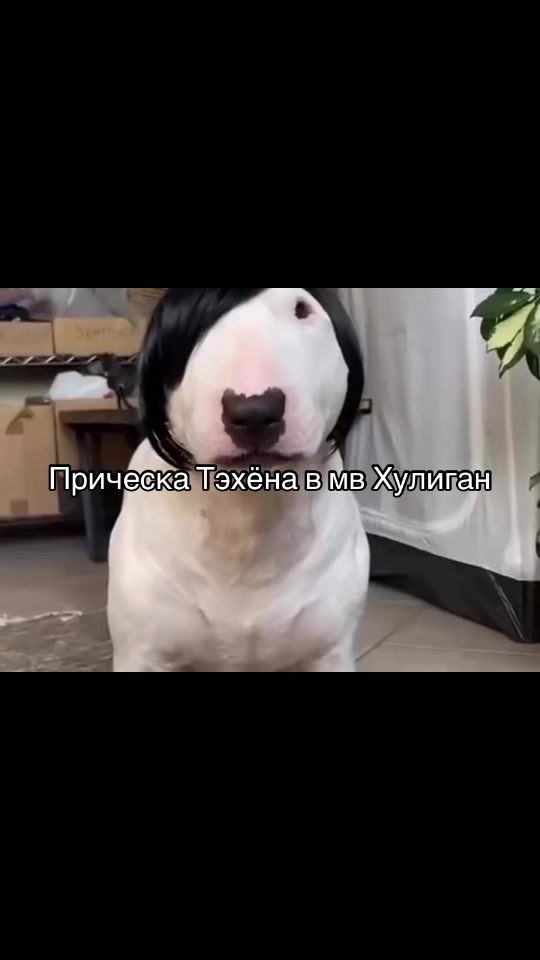 @V