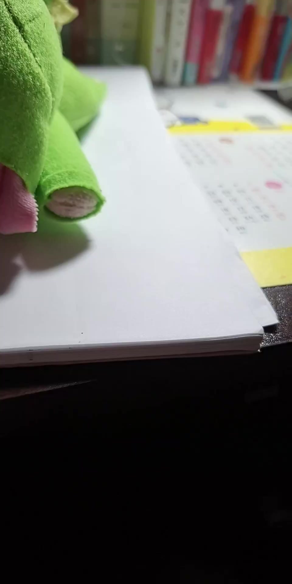 @My daughter's dog Bocchi✅️