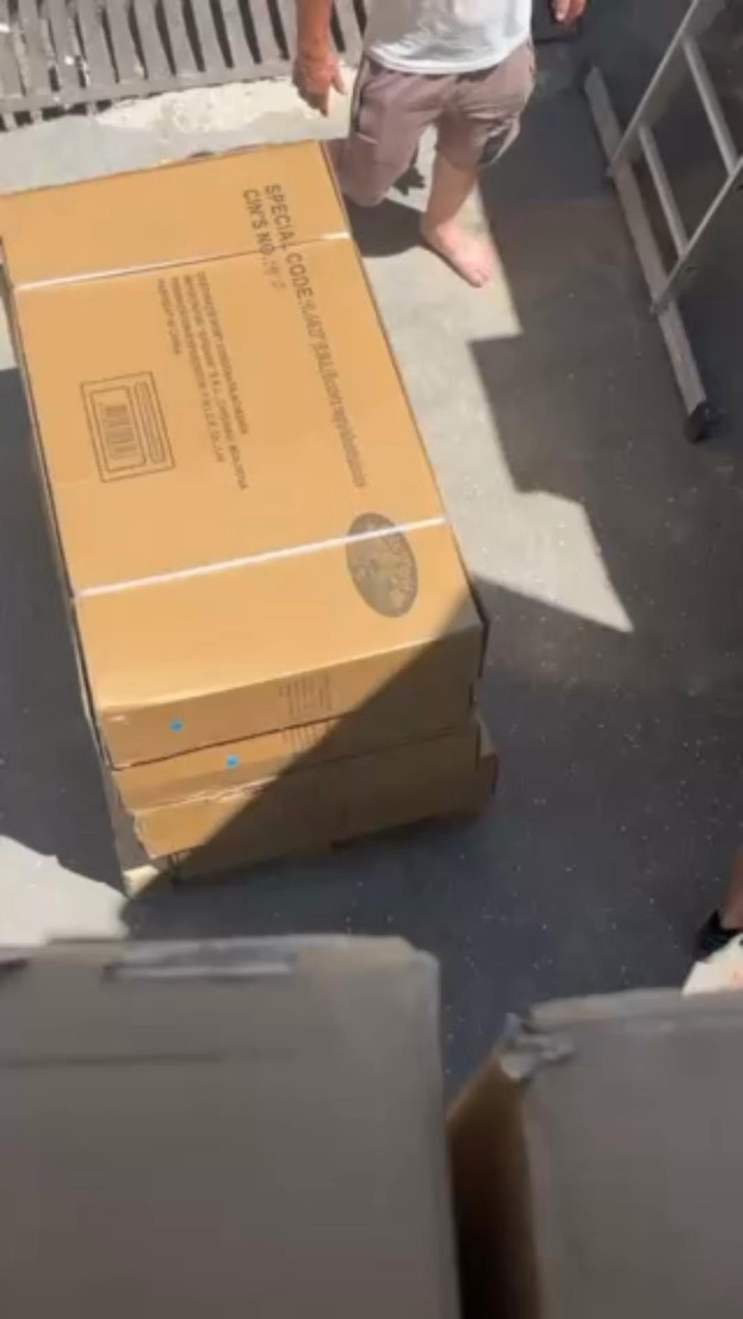 @Damy🦅🐊