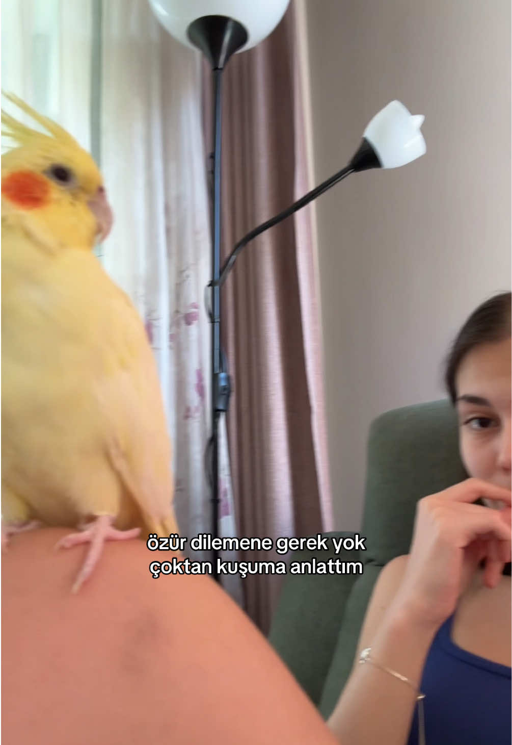 @mavi