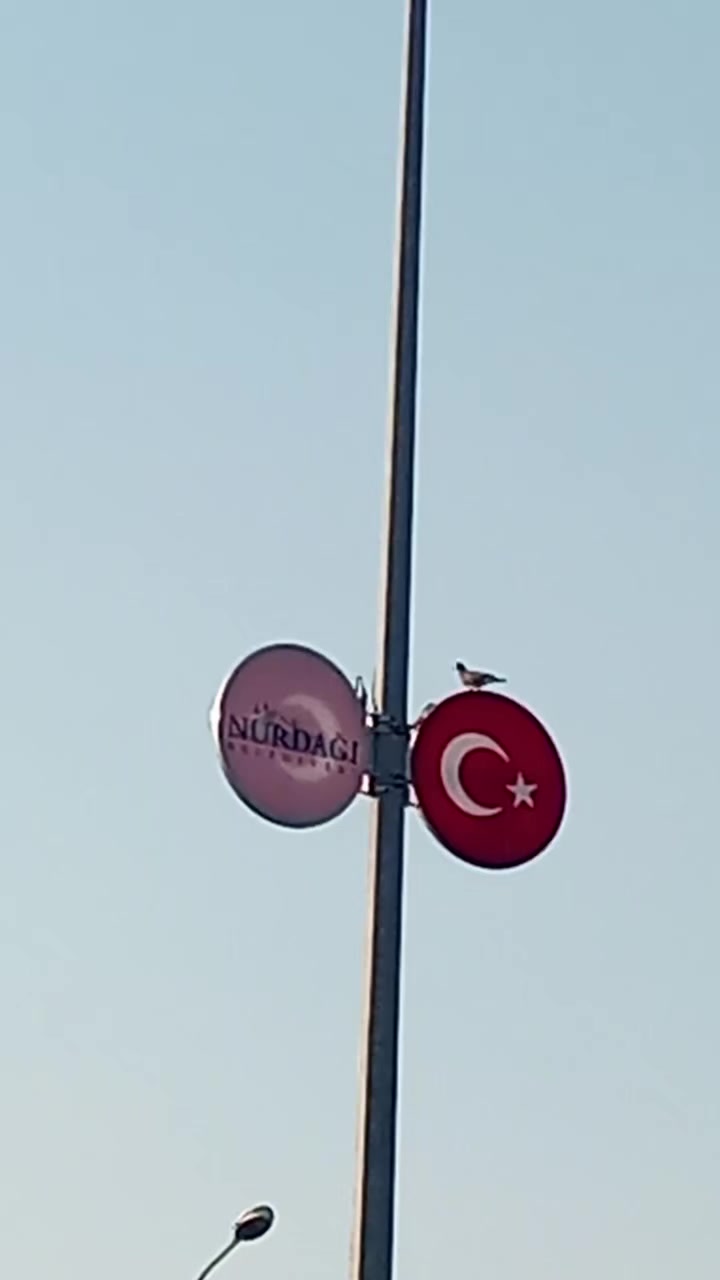@Selami Pekmezci