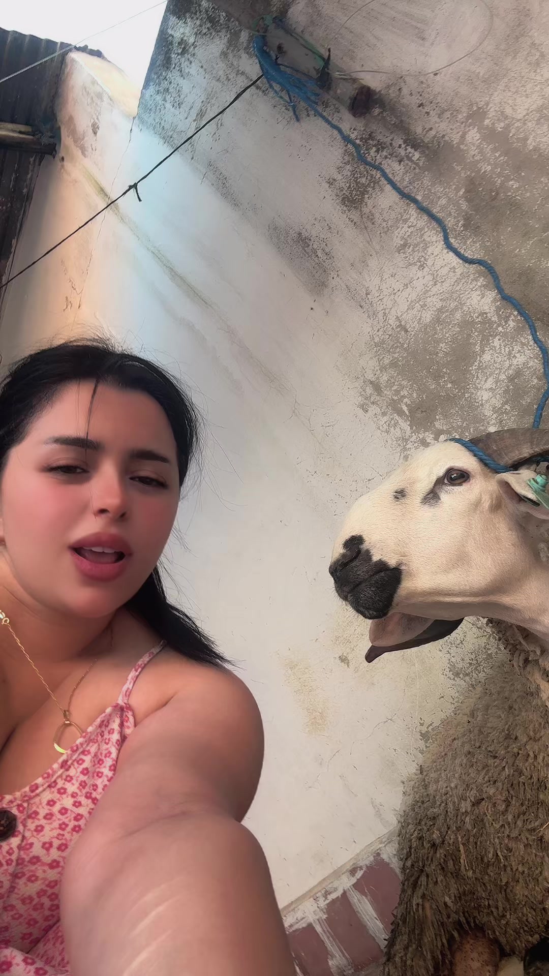 @Jihane brk