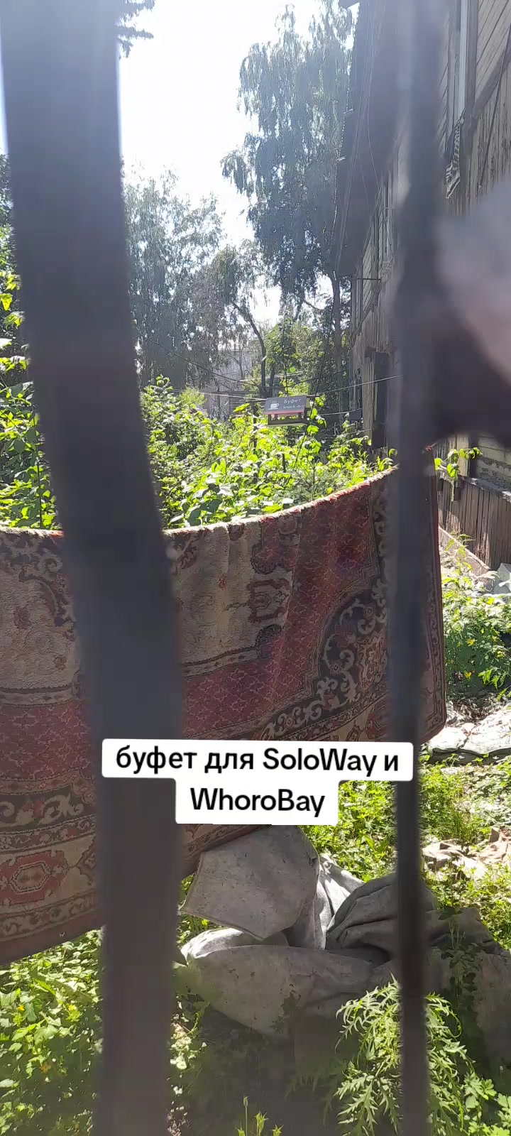 @Golovach_04_C_Layna