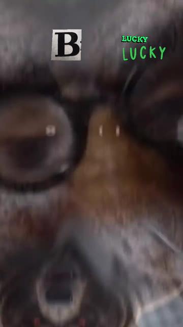 @luckyb5627