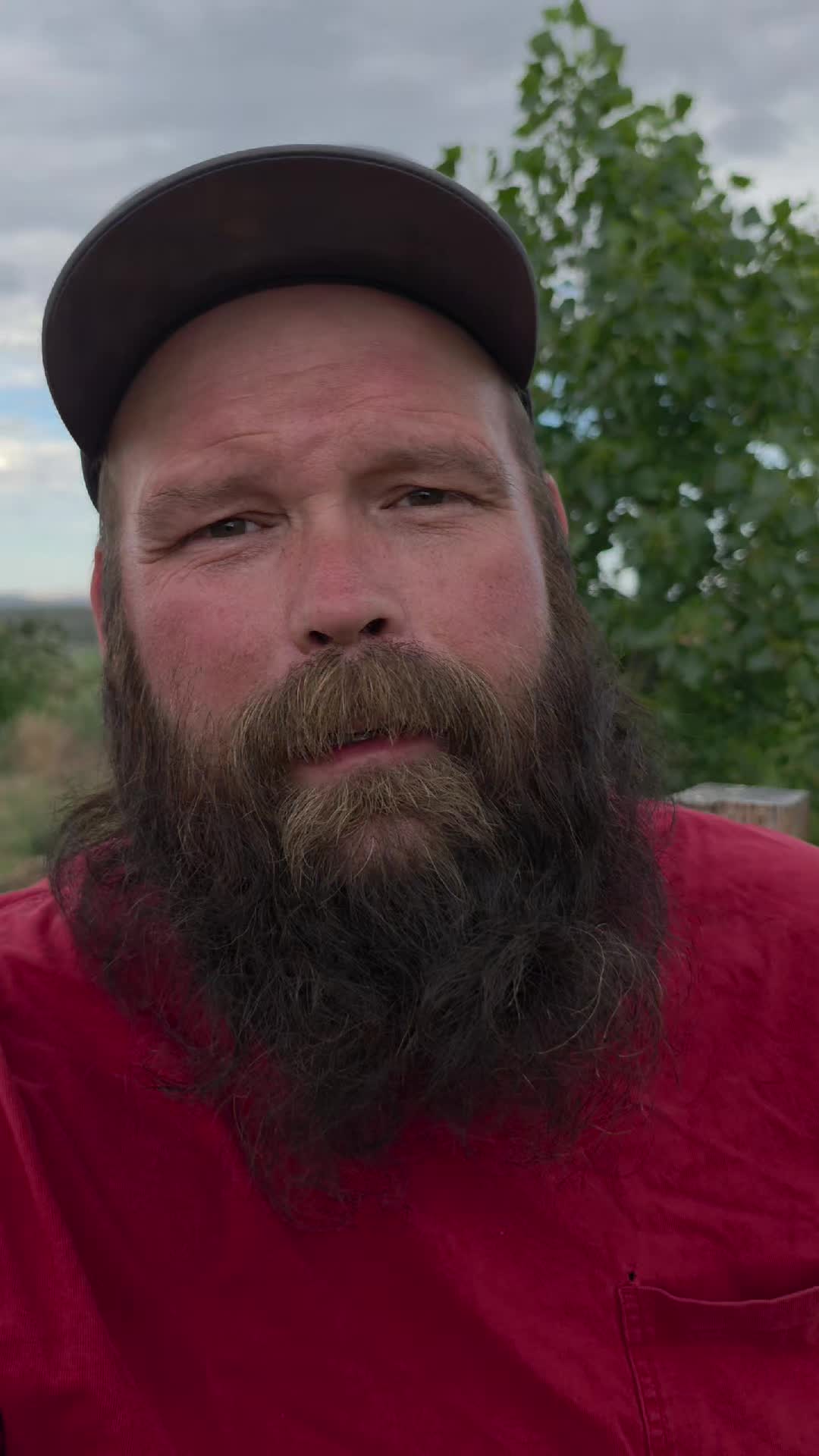 @thebeardedfamily1