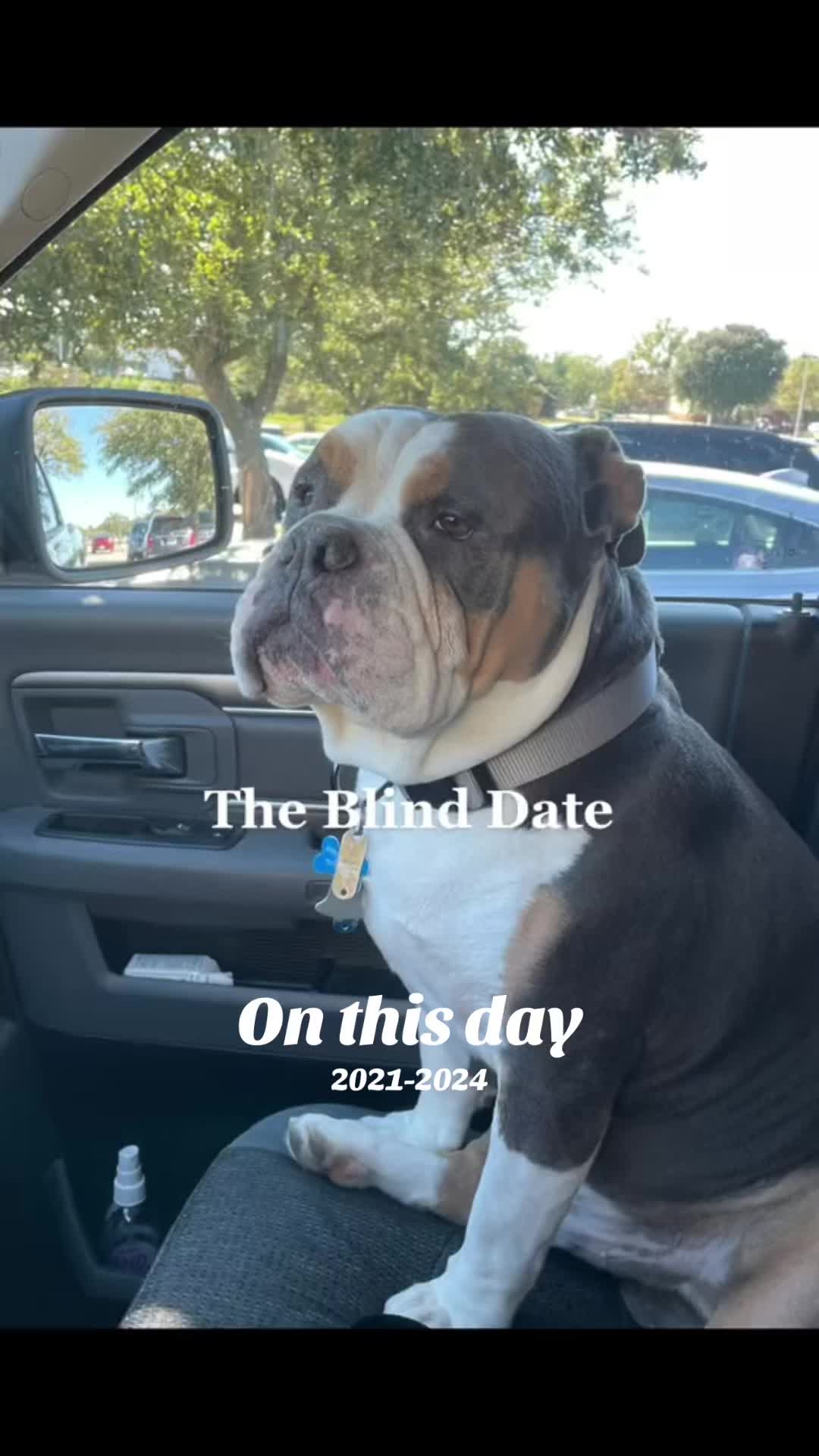 @Zora the bulldog