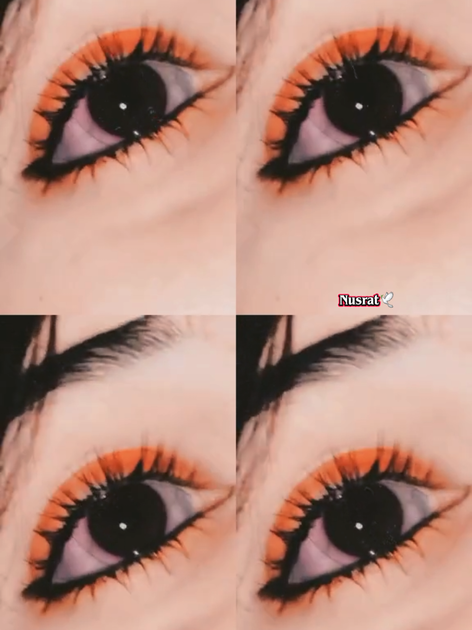 @👑⃟🦋 Nusrat🕊️👑⃟🦋