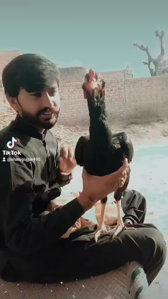 @ch❤️شانی gujjar 🖤