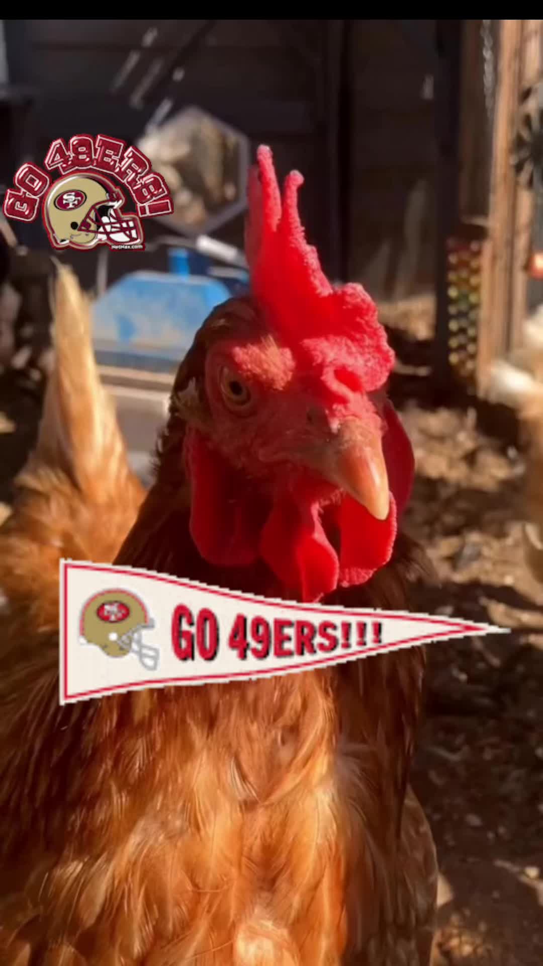 @Mary♥️🐓🤘