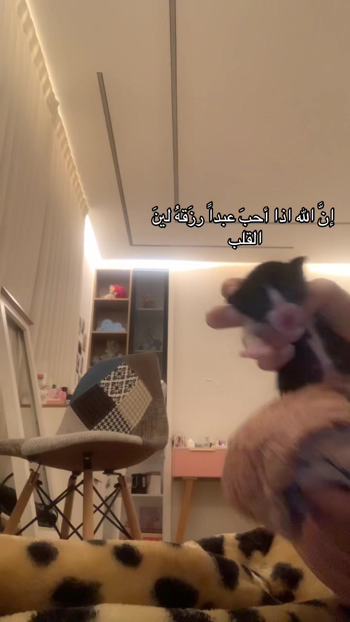 @๐ืืื ืื
