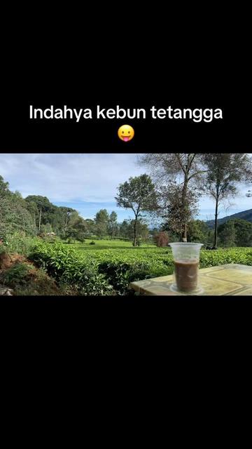 @Elmus_new