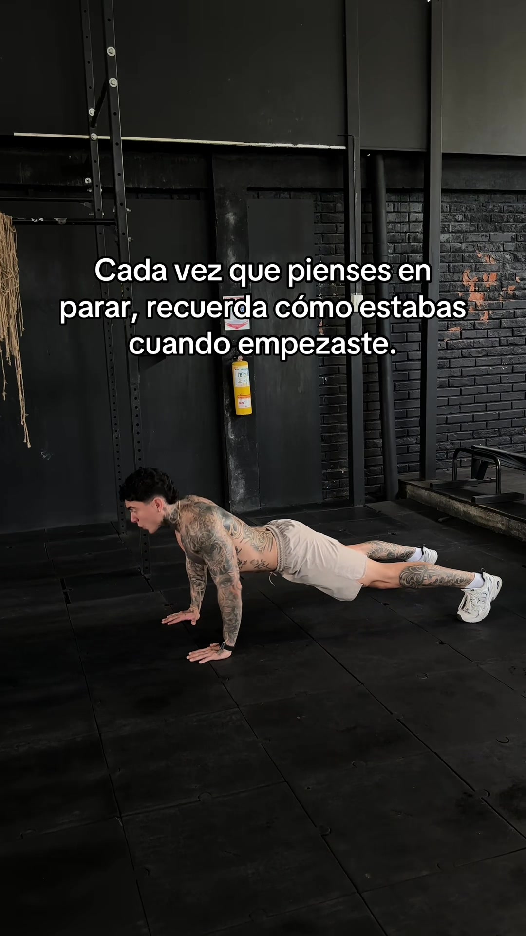 @Dani Machado 🦉