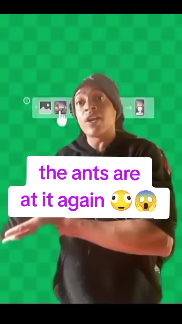 @tiktok passapassa