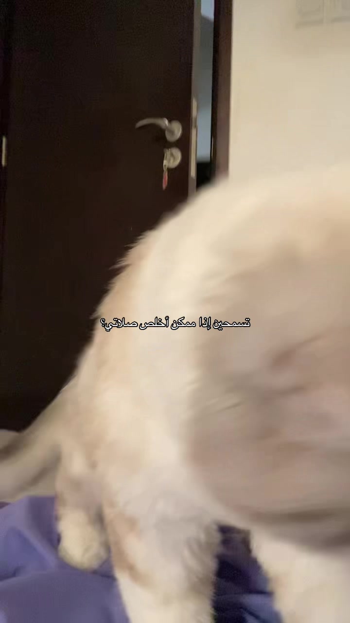 @MILA🤍LUNA