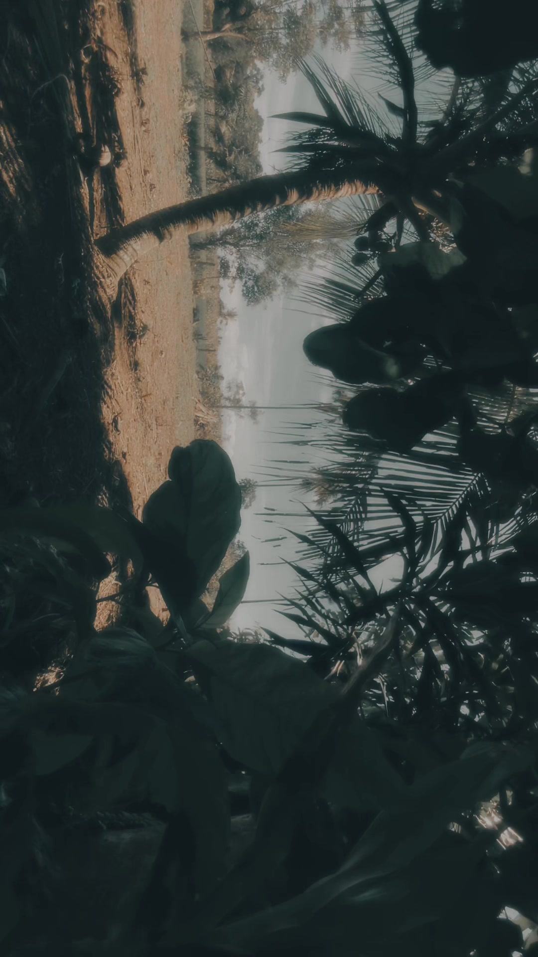 @lonelynes🥀