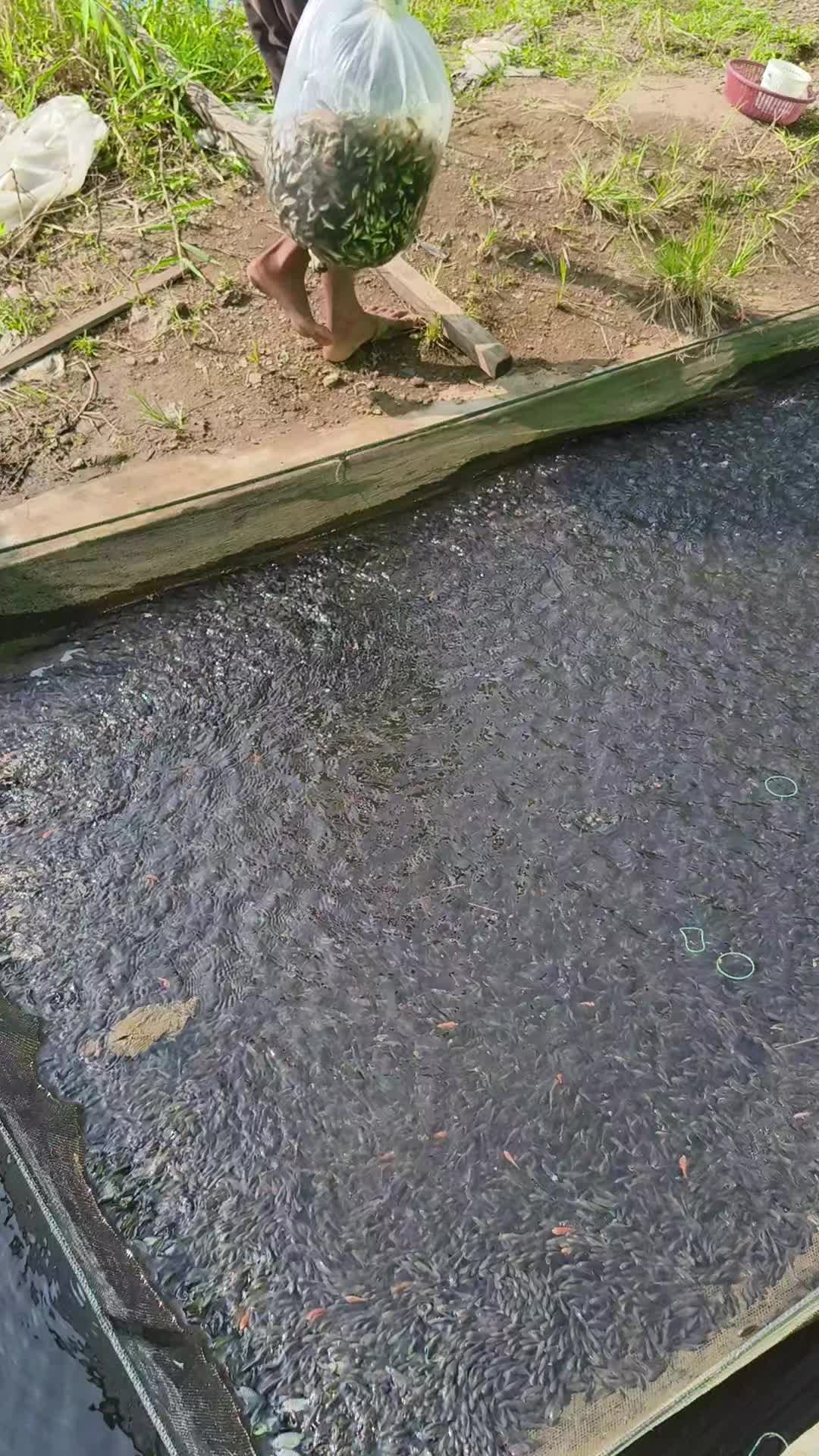 @Rio rikardo