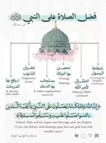 @haidy elsayed