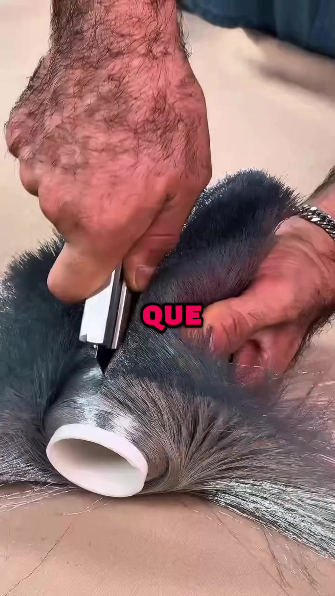 @hepols_cuentos