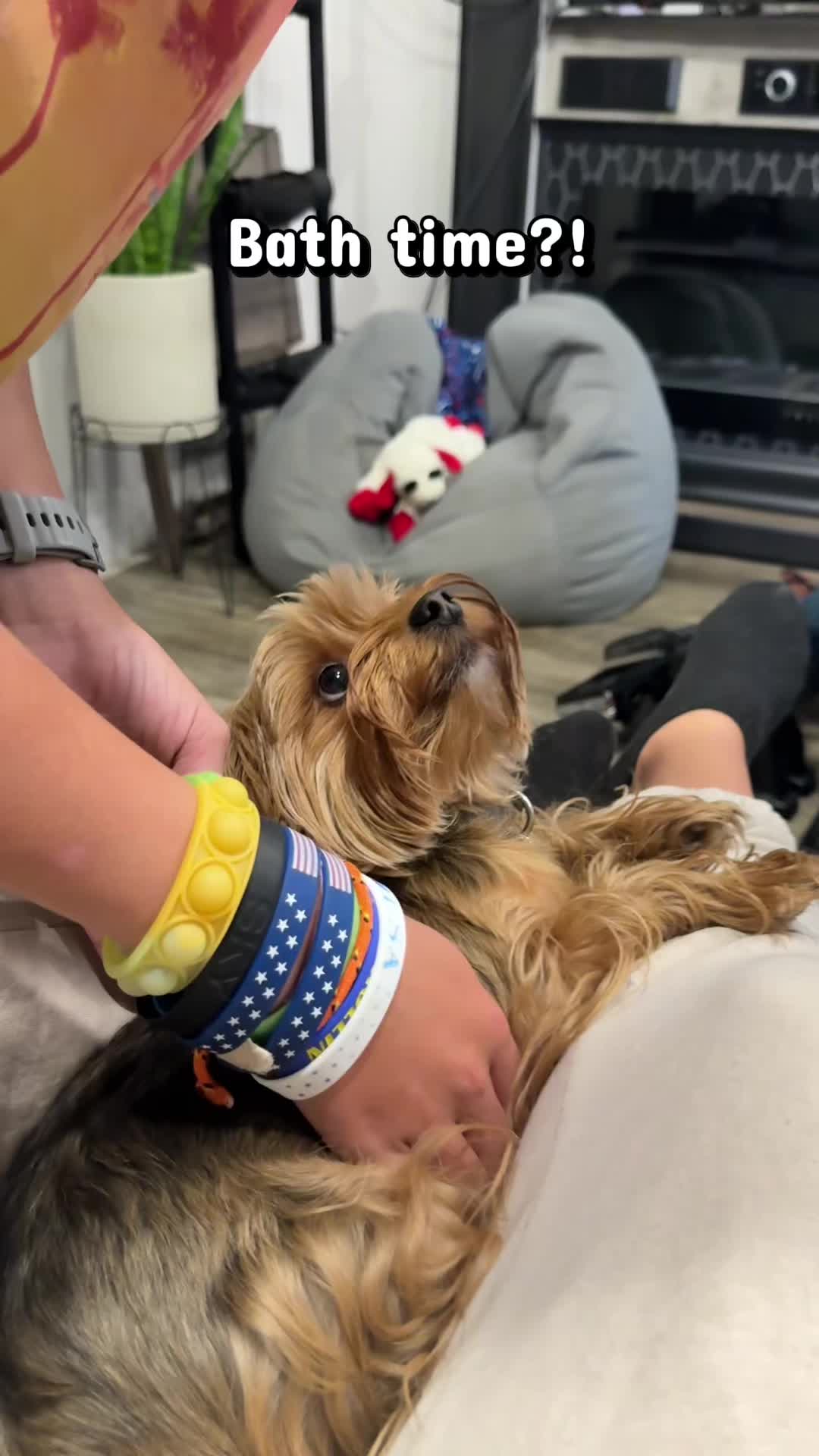 @newyorkiebymilo