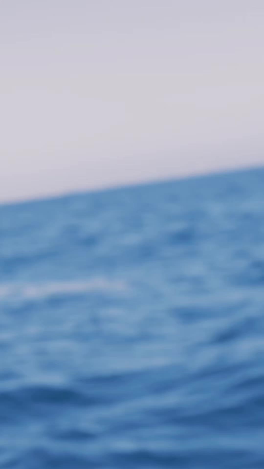 @Adventure Whale Watching