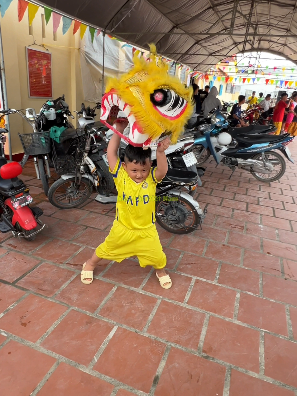 @M&uacute;a L&acirc;n Việt Nam 🇻🇳