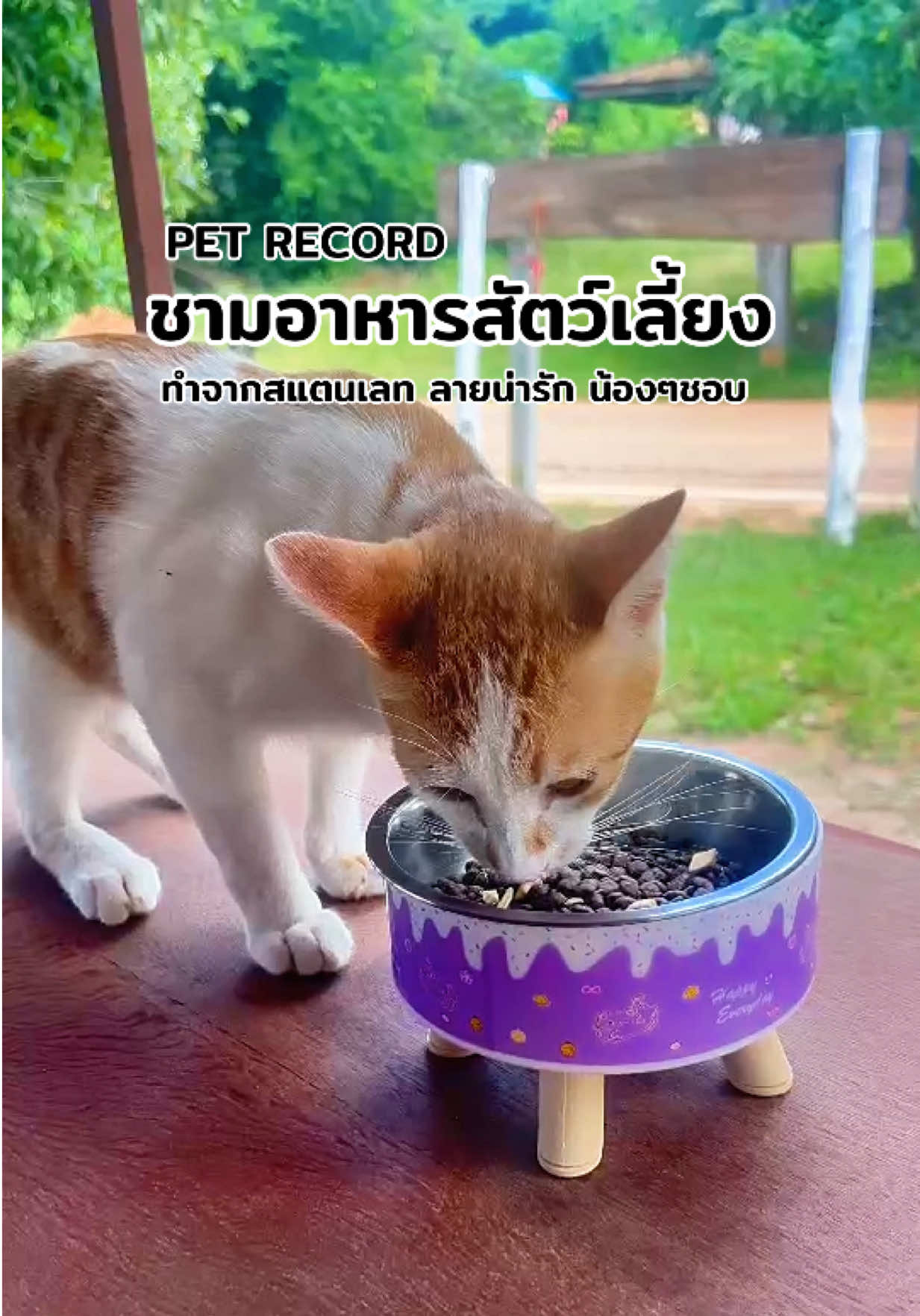 @มี๋ หมี๋