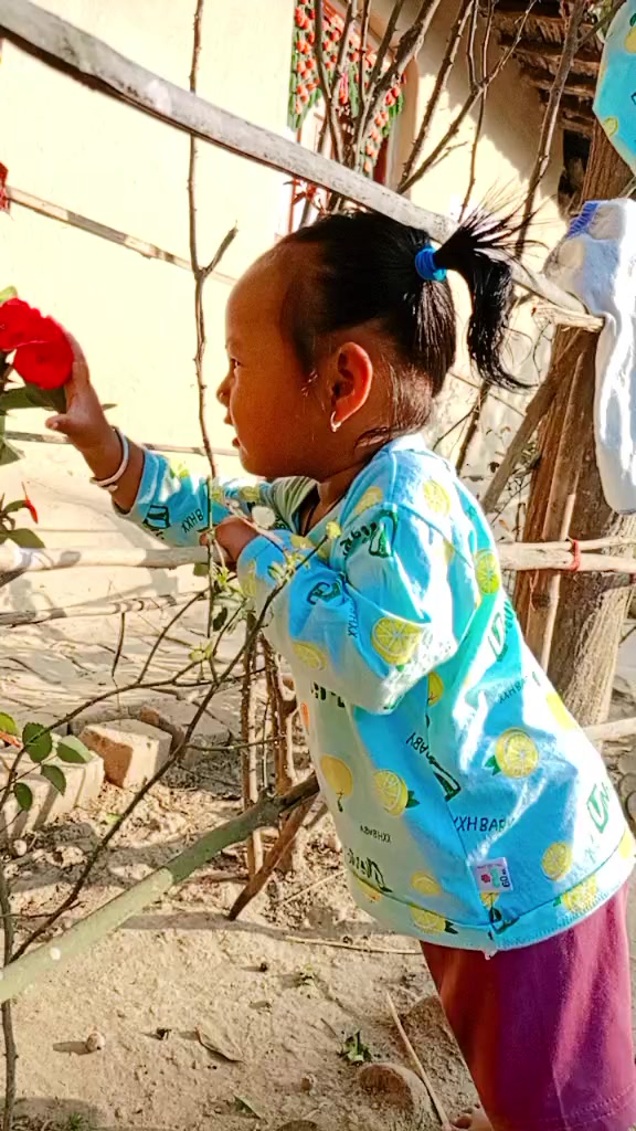 @@🦋🥀