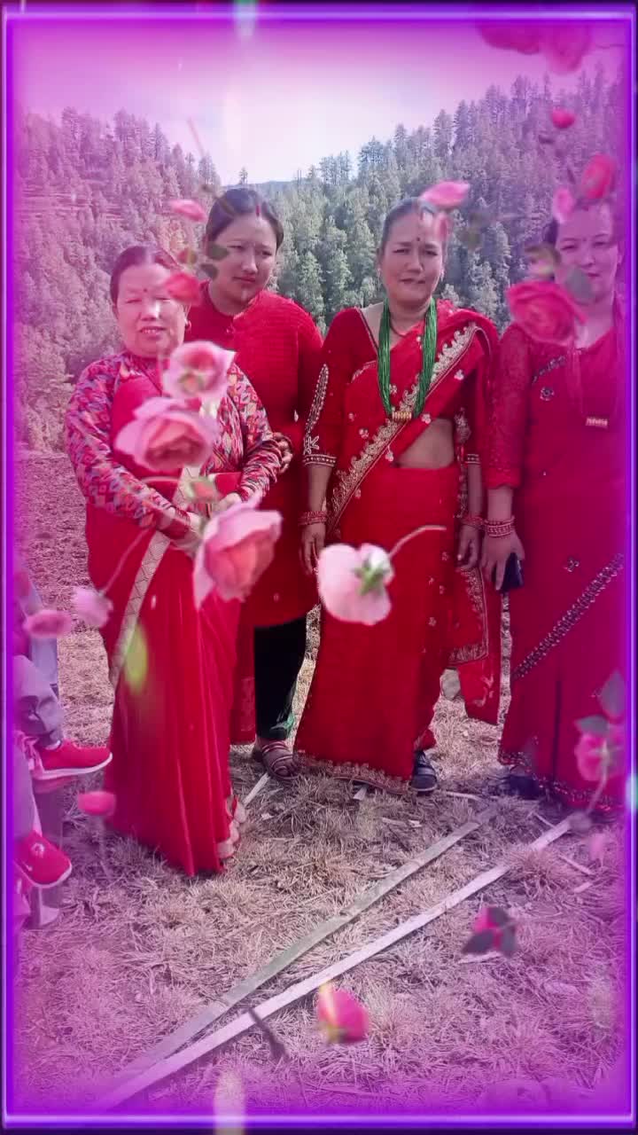 @suntalipahari