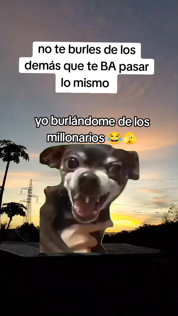 @Melvin flores 🇭🇳🦁