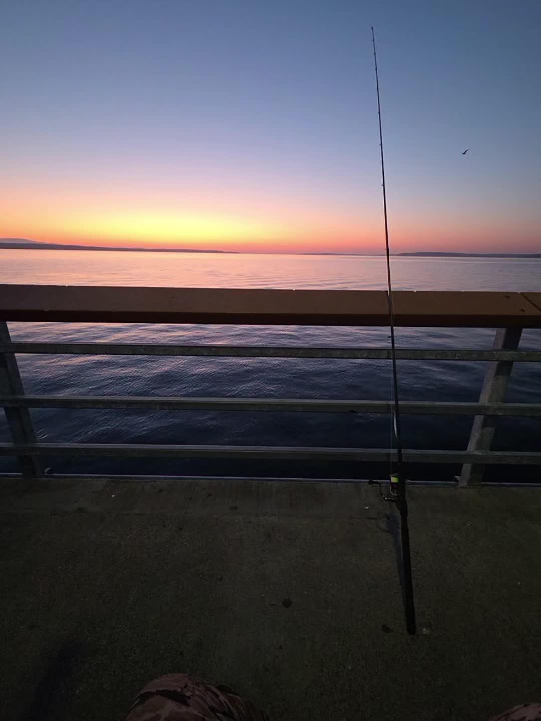 @ThatFishyVanLife