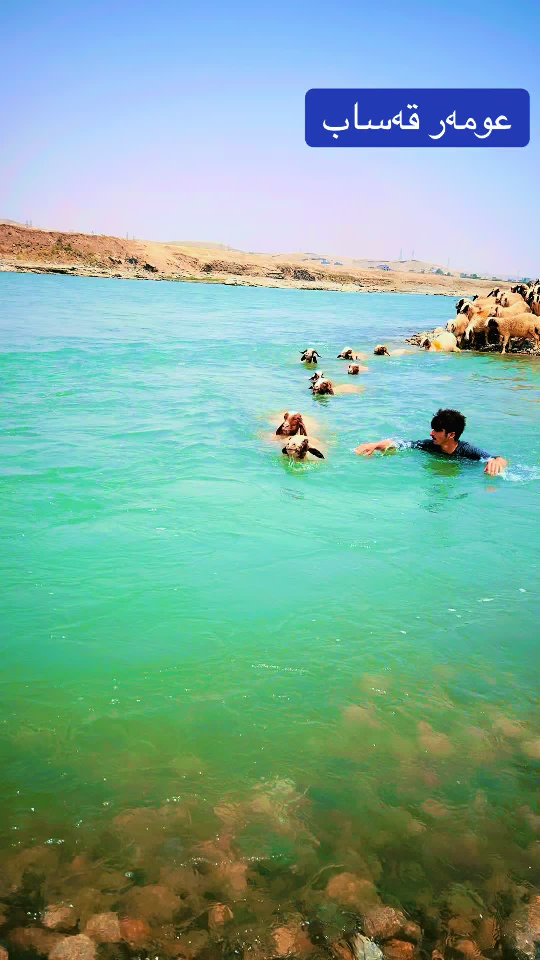 @عو مەر قەساب