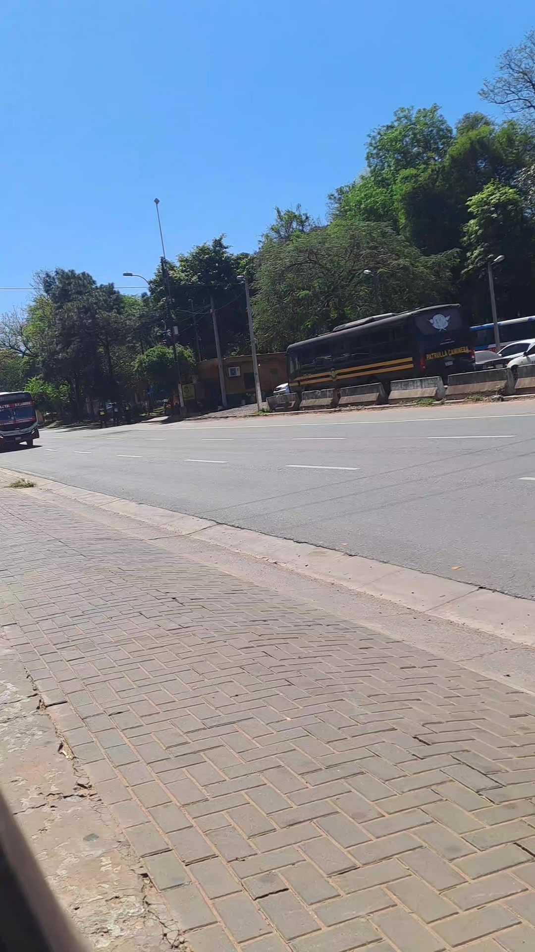 @†★BUSES_RANDON_PY★†