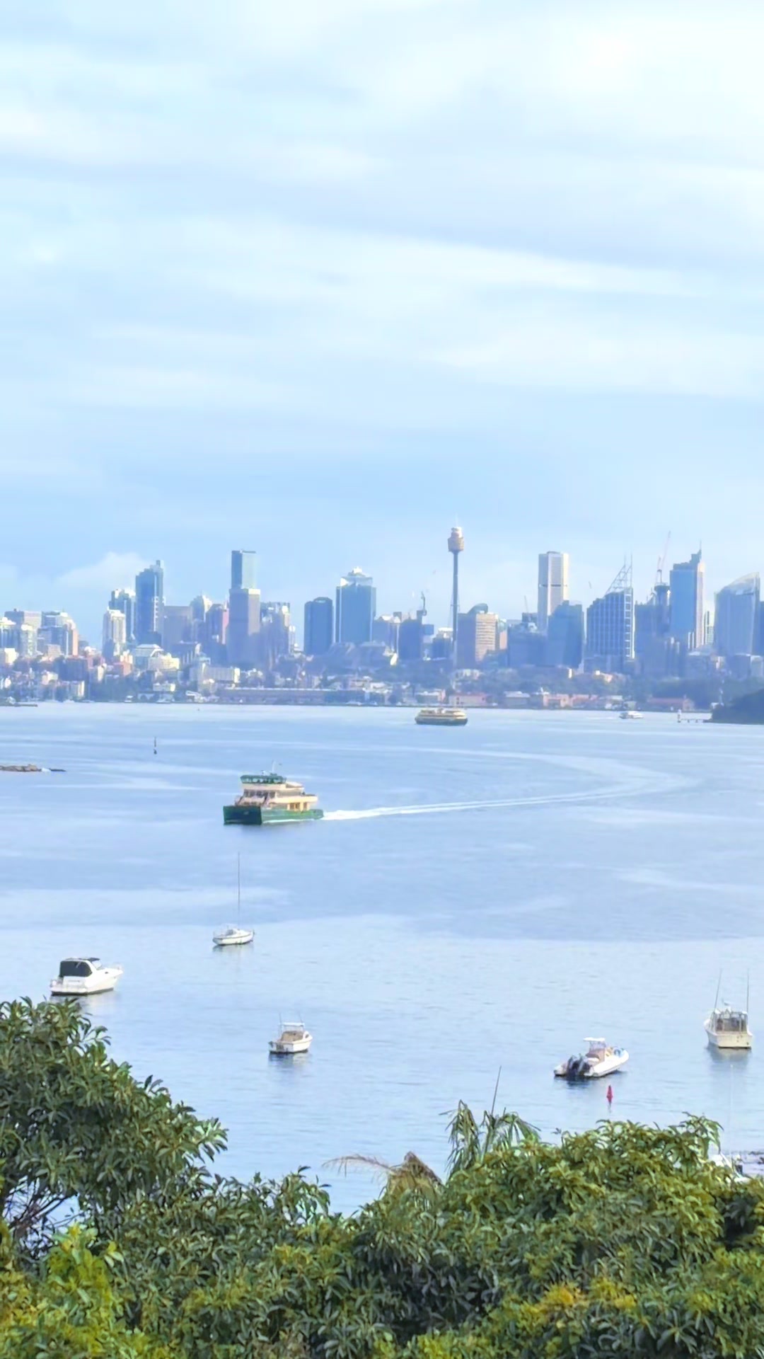 @🇹🇼Holly 🇦🇺Australia